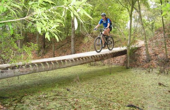 Featured Trail Friday: Alafia River State Park, Brandon, Florida