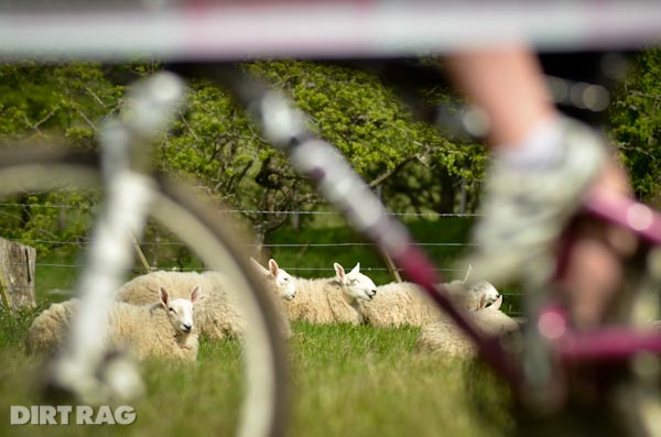 Sign up now for Scottish adventure at TweedLove Festival and Glentress Seven