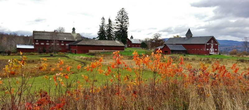 Featured Ride: Darling Hill Loop at Kingdom Trails in Vermont