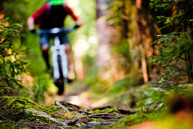 Featured Ride: Whitemeadow-Stone Coal Loop, West Virginia