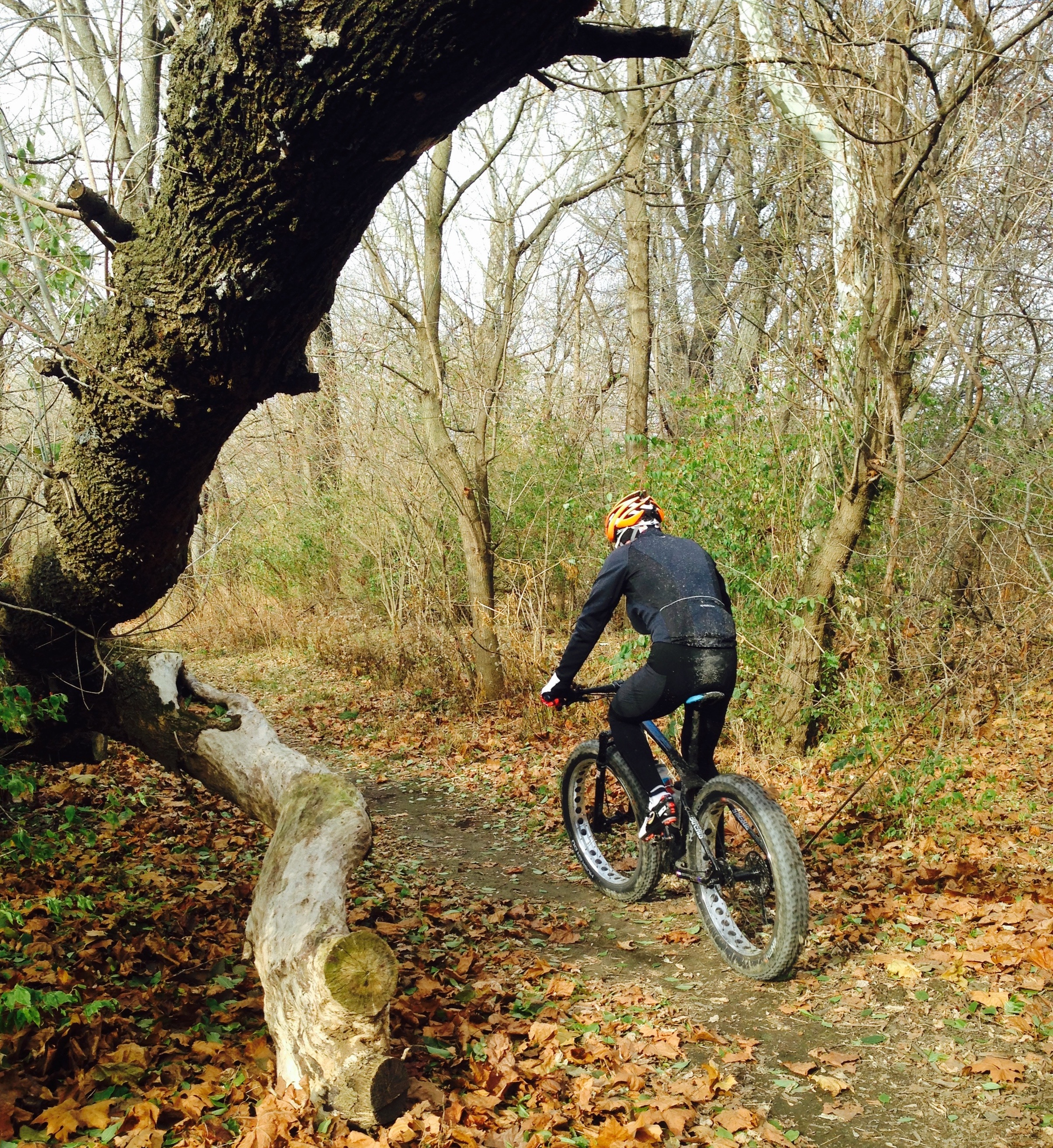 Trail Talk With Cush